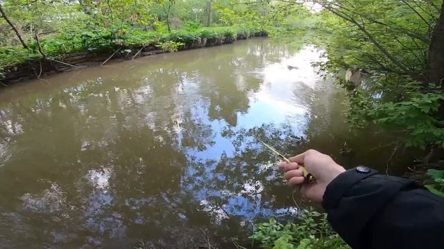 Микрофишинг.Ловля На Течении. смотреть онлайн