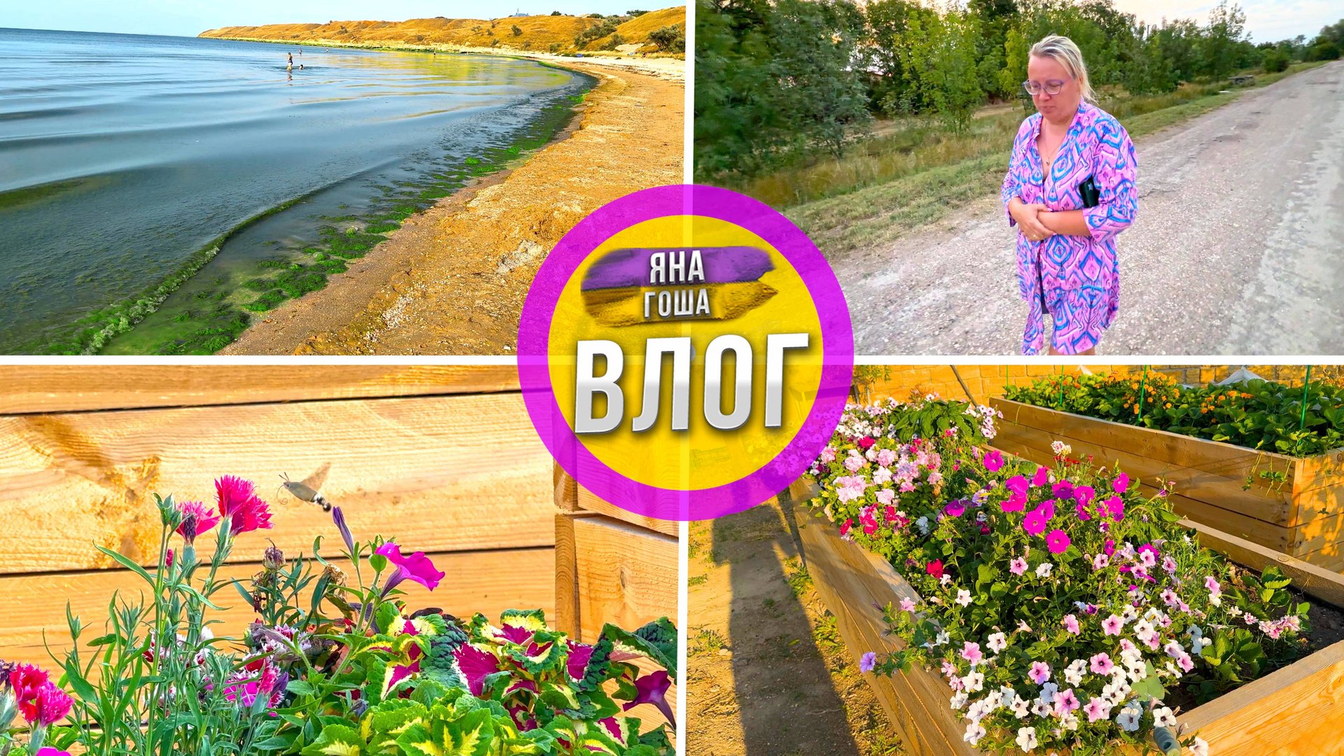 Азовское море оказалось зеленым супом! Сменили море за 20 минут. Непонятное насекомое.Высокие грядки смотреть онлайн