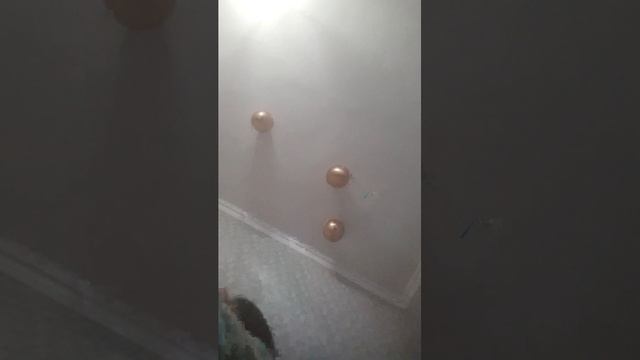 скдня лиза😄