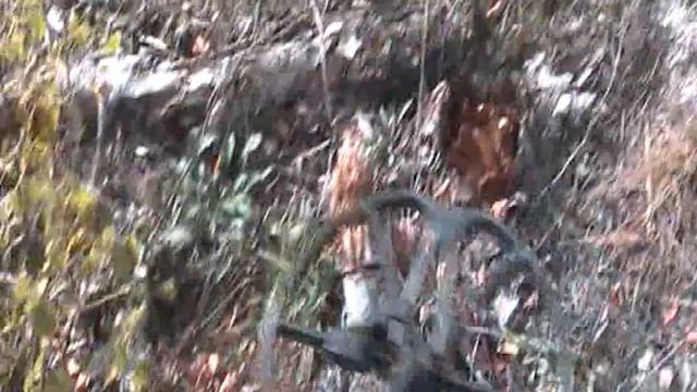 7650 РУБЛЕЙ ЗА ЧЕТЫРЕ ЧАСА КОПА смотреть онлайн