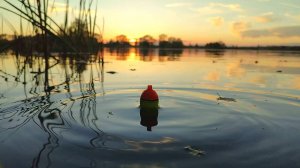 ЛОВЛЯ ЩУКИ НА ВЕЧЕРНЕЙ ЗОРЬКЕ