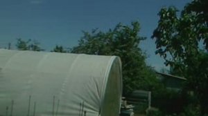 Про укрывной материал вместо поликарбоната на полукруглой теплице 8166.mp4