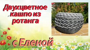 ✨Уложить лозы на дне✨Не хватило длины лоз✨Соединить два цвета в кашпо✨Узор✨РОТАНГ✨МАСТЕР КЛАСС
