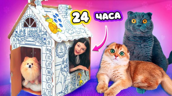 24 ЧАСА в ДОМЕ из КАРТОНА с ПИТОМЦАМИ | Кот Баттерс