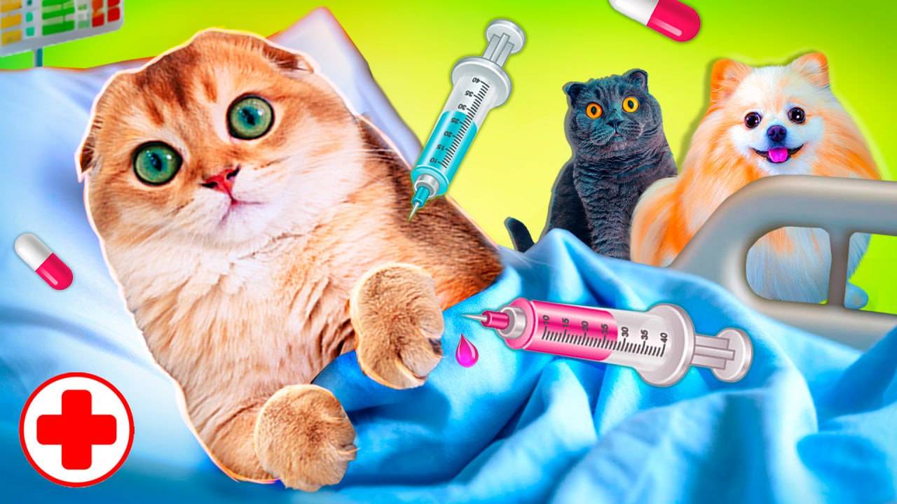 КОШЕЧКА БАТТЕРС и КОТЕНОК ПЕРСИК в БОЛЬНИЦЕ | Ставим УКОЛЫ и Проверяем СЕРДЦЕ смотреть онлайн