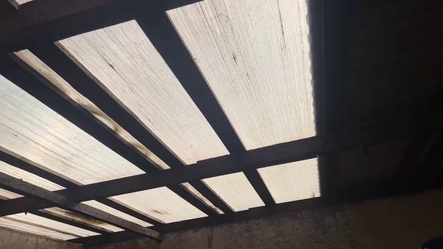 КАК ПРАВИЛЬНО ВЫБРАТЬ МОЛОДЫХ КУР НЕСУШЕК НА ЯЙЦО Про уход и содержание от А до Я