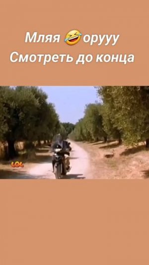 Это Надо Видеть!!! 🤣