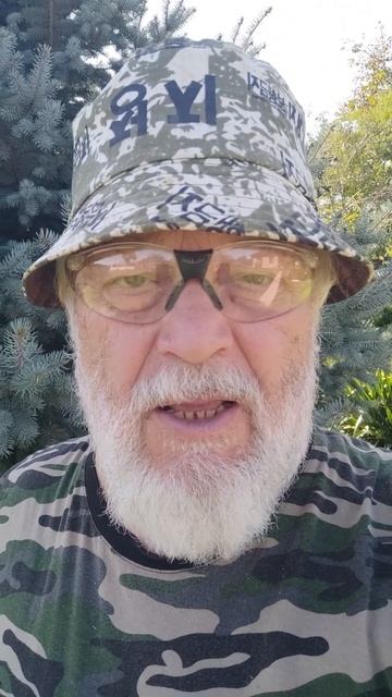 Лесные клопы готовятся к ночным заморозкам.