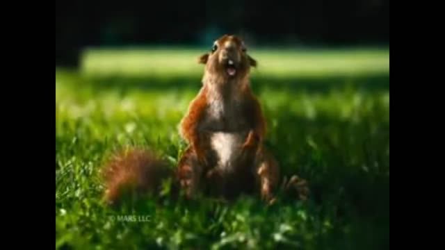 Подборка рекламы 90х - 00х. Подборка смешной старой рекламы. смотреть онлайн