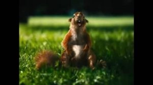 Подборка рекламы 90х - 00х. Подборка смешной старой рекламы.