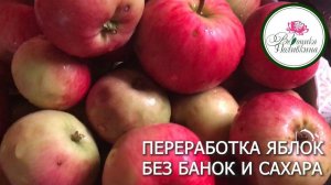 ПЕРЕРАБОТКА ЯБЛОК БЕЗ БАНОК И САХАРА