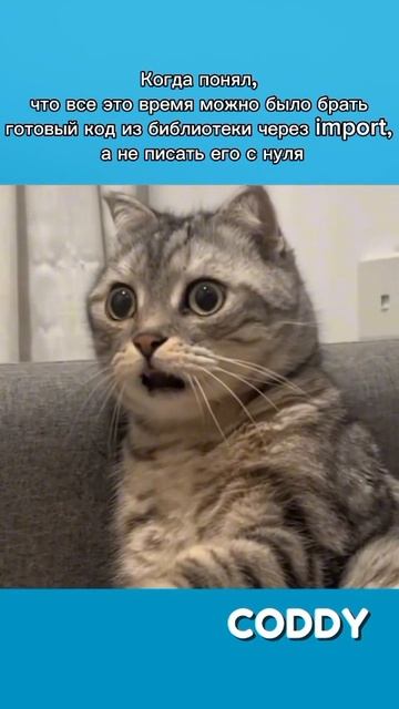 Тот самый момент, когда понял это 🫣 смотреть онлайн