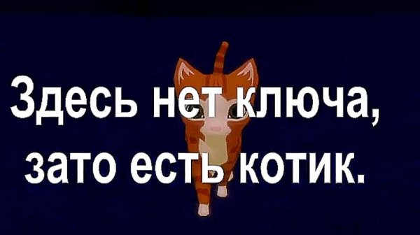 ДОГОНЯЛКИ С СИРЕНОГОЛОВЫМ