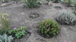 Осенние хлопоты. Жизнь станичная на пенсии.