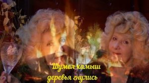 Шумел камыш, гнулись деревья