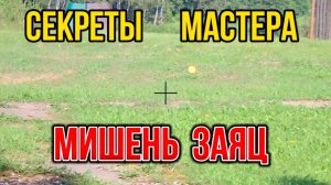 Секреты мастера. Мишень заяц