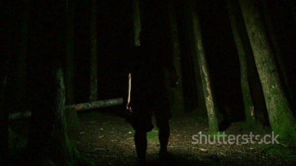 invideo-ai-1080 كيف تصبح شوباكابرا في 5 خطوات 2025-10-05