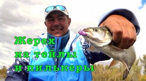 Волжский ЖЕРЕХ и СЕЛЕДКА. Мастер-класс ловли на нытьё.