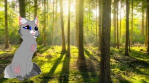 🌕родня Лунносветик ! Первый видос;)