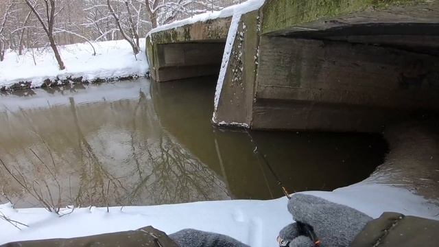 Зимний Мормышинг на Яузе.Перепробовал ВСЁ!Рыба в Коматозе.#мормышинг#наноджиг#мормоны смотреть онлайн