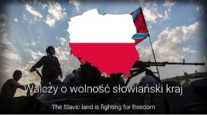 "Мясо Пушечных Залпов"  - польская про-донбасская песня