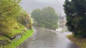 Сельская жизнь Швейцарии - Дождливое утро в самых красивых швейцарских деревнях