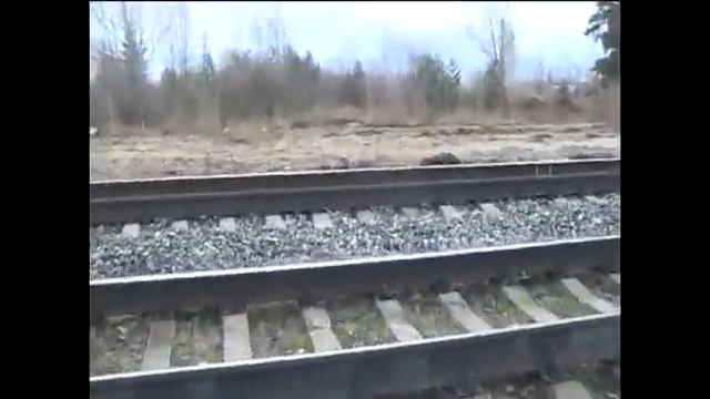 Как сделать редкую монету смотреть онлайн