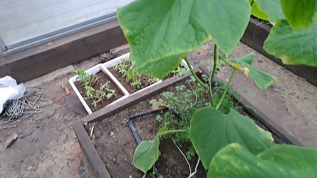 Шум дождя!!! смотреть онлайн