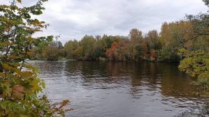 Пеший поход от деревни Степаньково до Пушкино по берегу Учинского водохранилища.