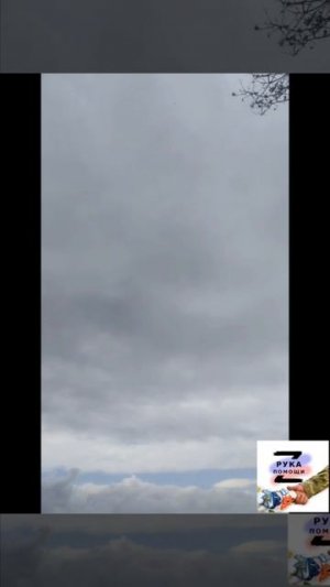 ‼️🇷🇺Вот так идёт день у Сахарка и его товарищей🙏❤️🇷🇺🇷🇺🇷🇺