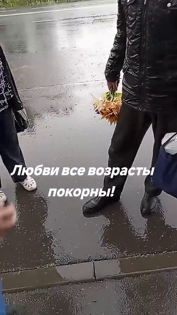 Встречает любимую