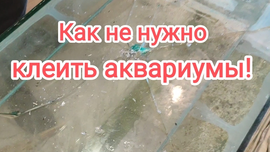 Как не нужно клеть аквариумы! смотреть онлайн