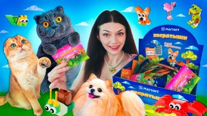 КИСА БАТТЕРС и КОТ ПЕРСИК Открывают ЗВЕРЯТЫШЕЙ из Магнита | Попался РЕДКИЙ - Собрала Всю Коллекцию