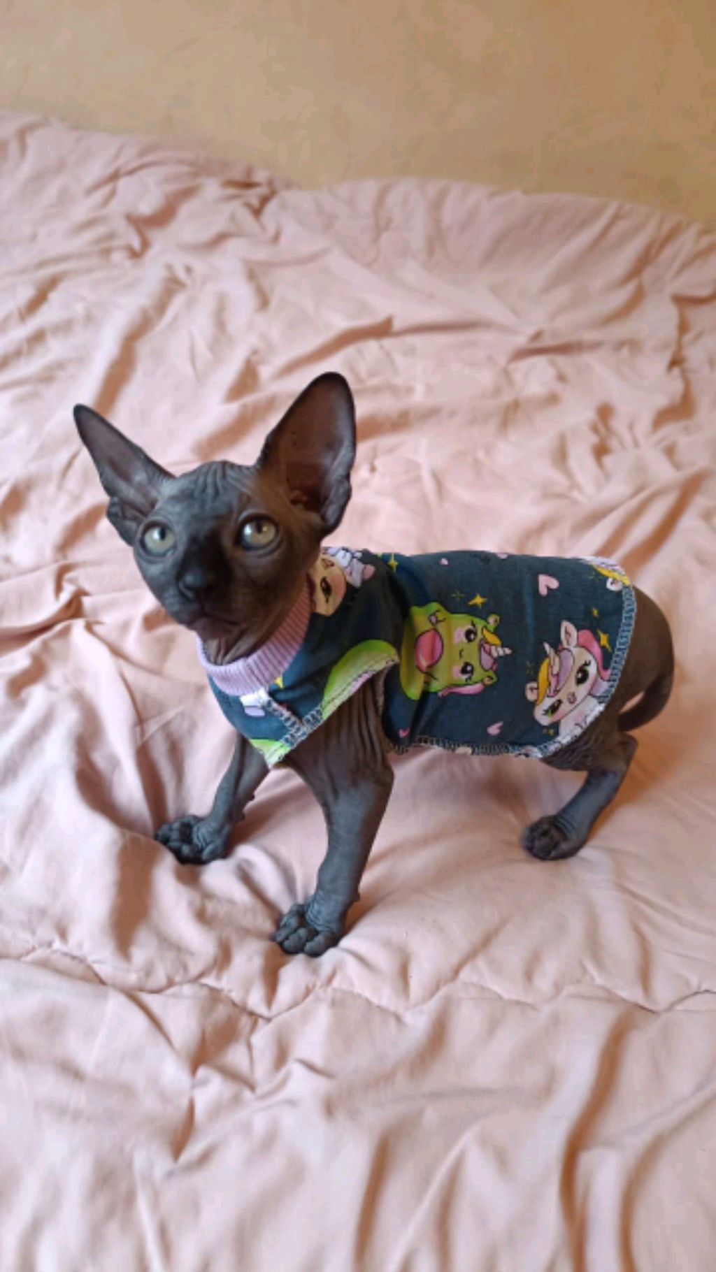 2 глава : что случилось с моим каналом?