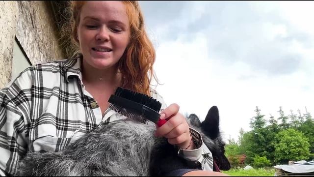 ОДИН ЛЕТНИЙ ДЕНЬ В ДЕРЕВНЕ С РЫЖИМ ФЕРМЕРОМ