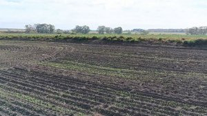 давно не копал. по старым местам с equinox700