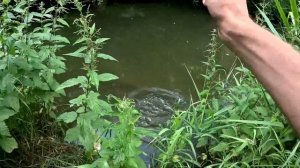 Мормышинг. Разнорыбица на вольфрам.