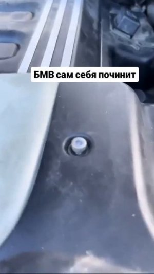 Помоги себе сам😂