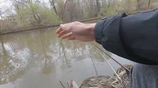 Очень Осторожный Карась.Рыбалка на Сломе Погоды. смотреть онлайн