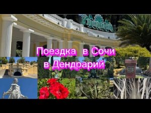 Едем в Сочи. Дендрарий. Море и крабы