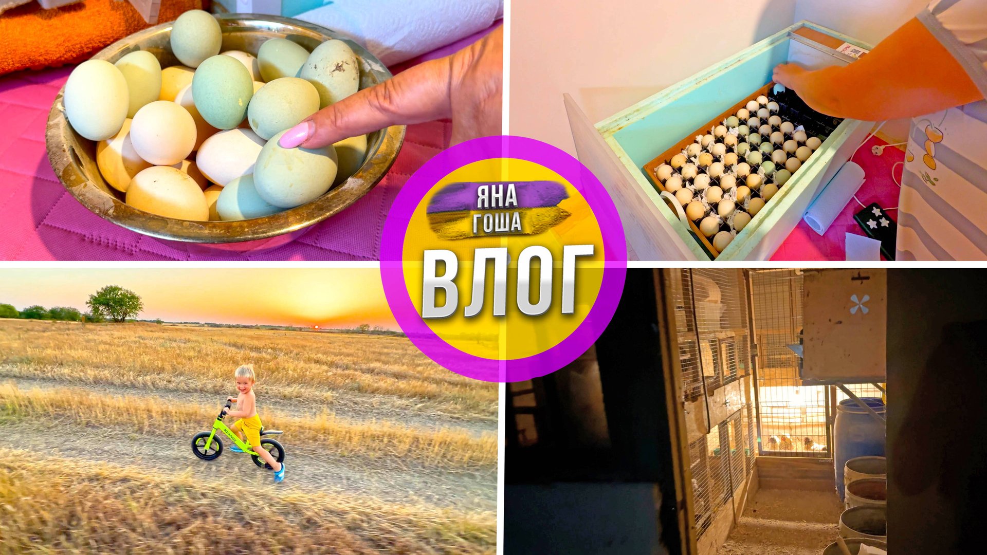 Закладываем яйца в инкубатор. Сказочный курятник. Вечер и ночь в Крыму. Димка. смотреть онлайн