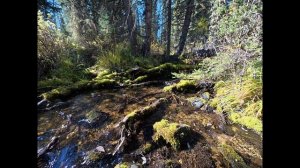 Поездка на гору Маяк Шангина. 6 сентября 2025г