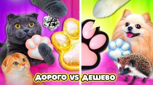 Самые РЕДКИЕ ТАБА ЛАПКИ | Питомцы Меняются Редкими ТАБА ЛАПКАМИ - ДЕШЕВО vs ДОРОГО