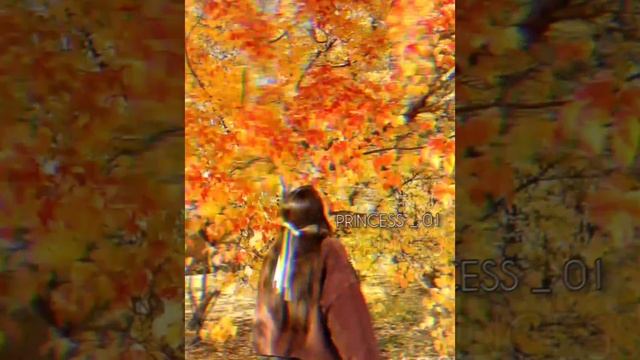 ⚜️цыганская песня⚜️ 🧿журавли🧿
💔душевно 💔 смотреть онлайн