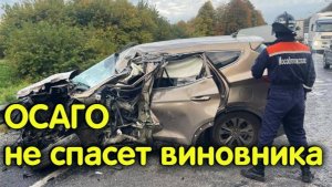 Виновен в ДТП? ОСАГО не спасет, придется заплатить за ремонт автомобиля потерпевшего!