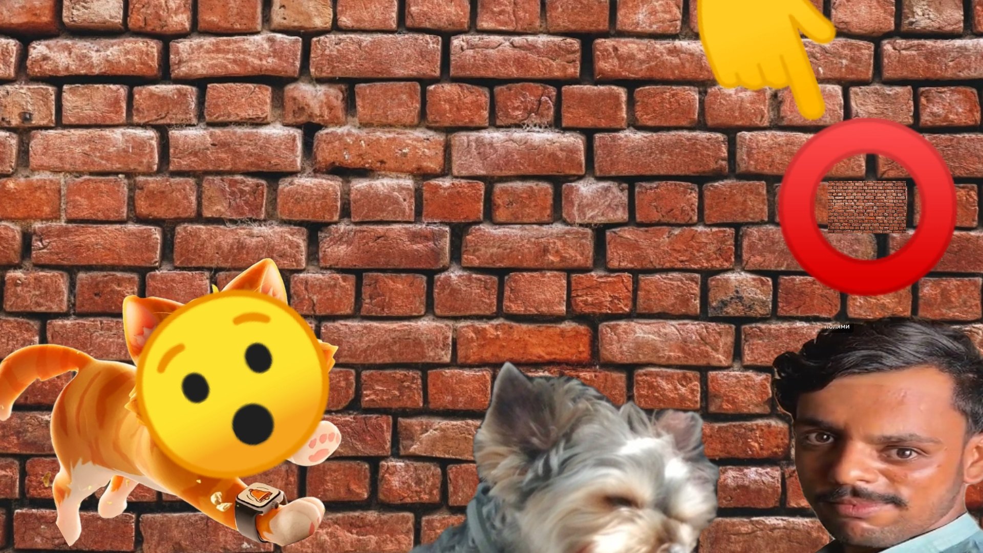 самый странный секрет в I'm cat vr