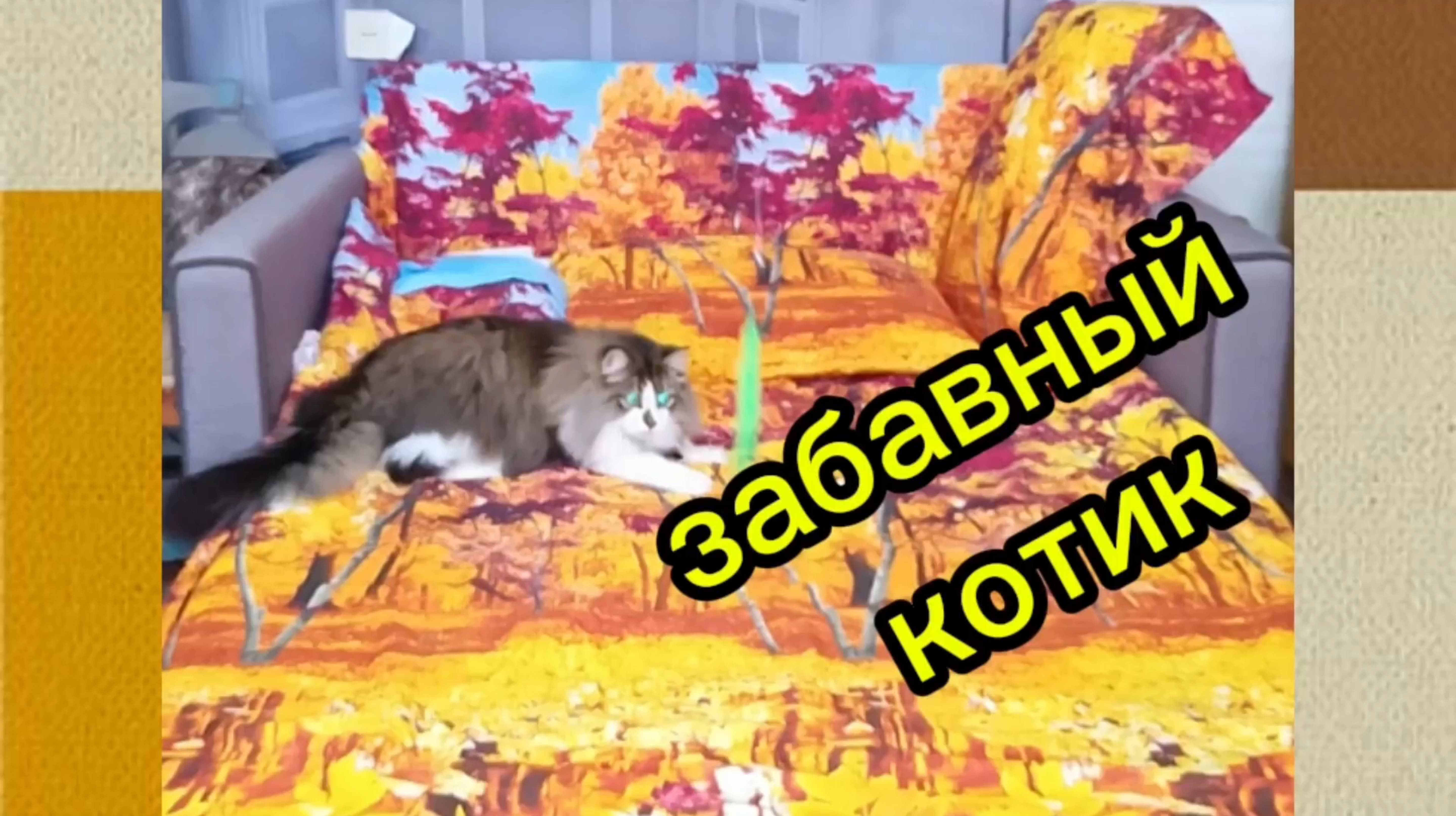 Забавный котик. смотреть онлайн