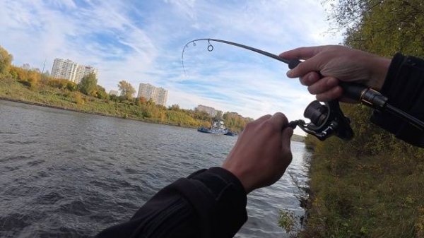 ТРОФЕЙНЫЙ ОКУНЬ. РЫБАЛКА НА СПИННИНГ. МИКРОДЖИГ. 4К