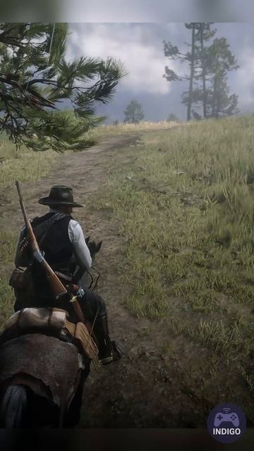 RDR2