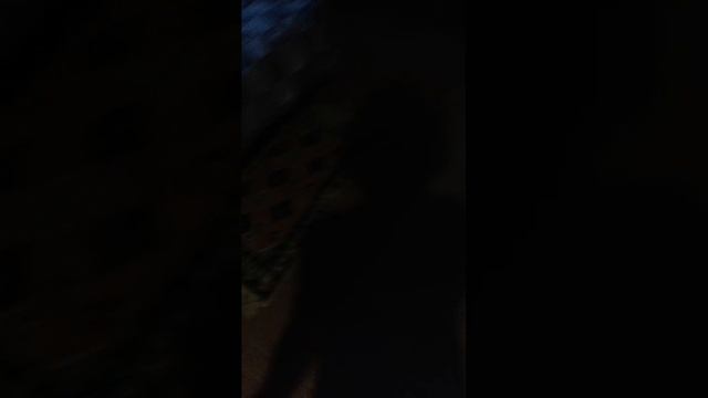 кишка, злой кишка